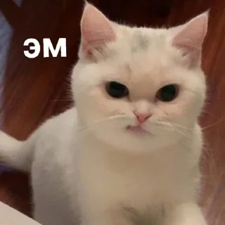 🤨