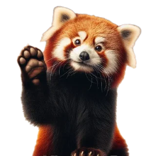 👋