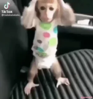 😱