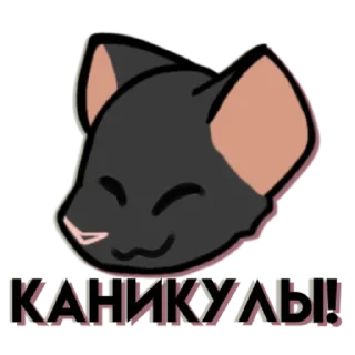 🐀