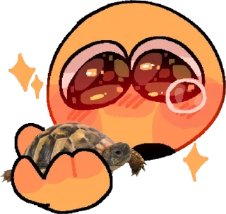 🐢