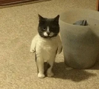 🥺