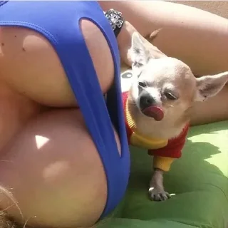 🌚