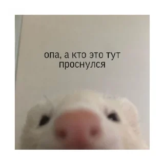 🥰