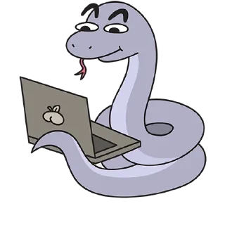 👨‍💻