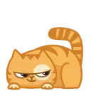 😼