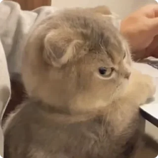 😠