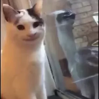 🙂