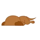 👌
