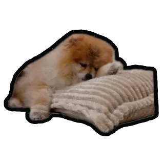😴