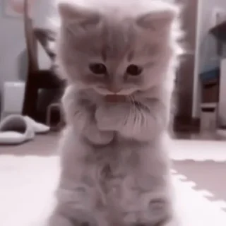 😋