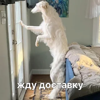 ⏰