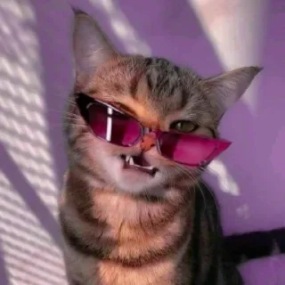 😎