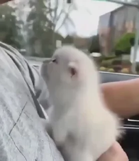 🥰