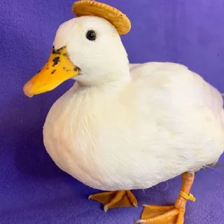 😐