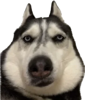 😑