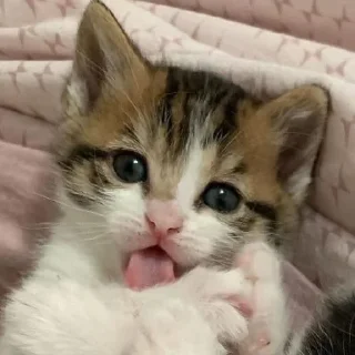 ❤️