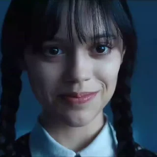 🕷️
