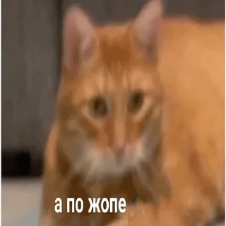 😡