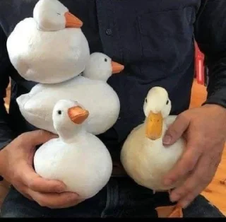 🥺
