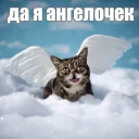 😇
