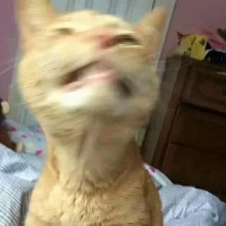 😡