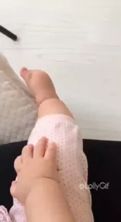 ✨