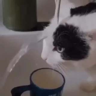 🤨