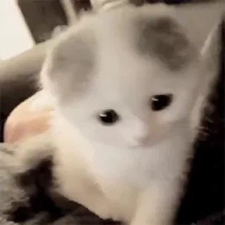 😢