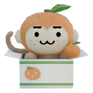 🍊