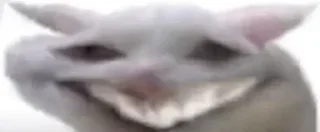 😂