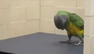 😀