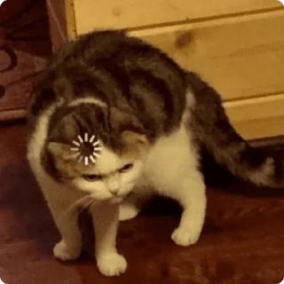 🤨