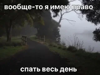 🧂