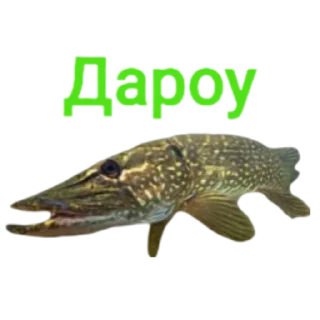 👋