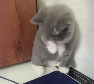 😖