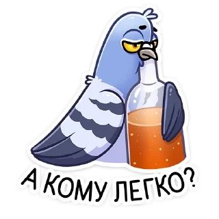 🍾