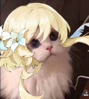 🐱