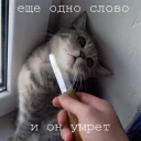 🔪