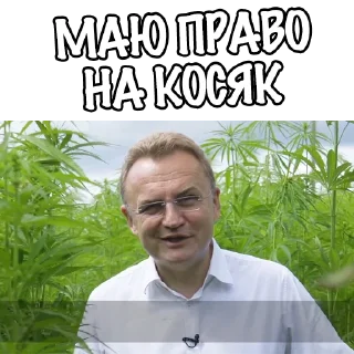 ☘️