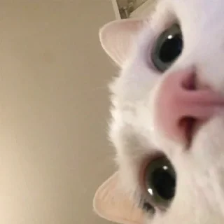 😶