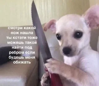 🔪