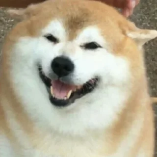😄