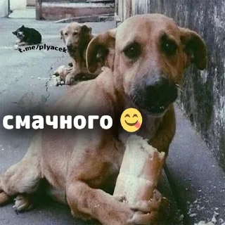 🍟