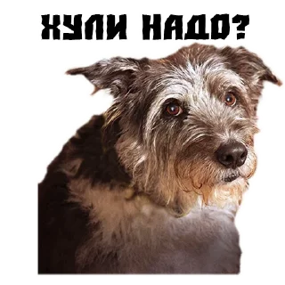 😭