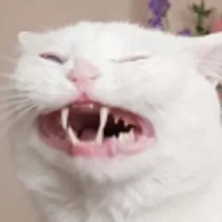 😏