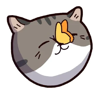 🐈