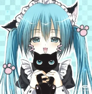 🐱