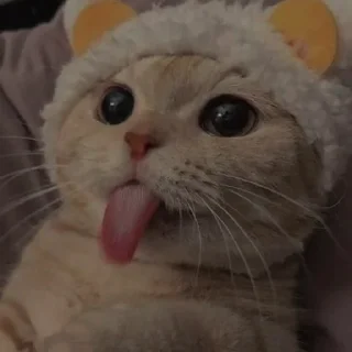 💗