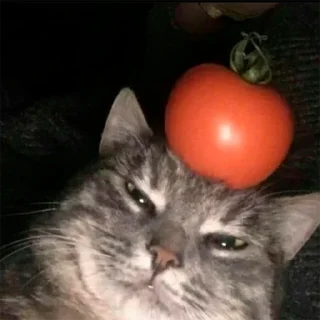☹️